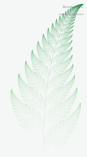 Barnsley fern fractal
